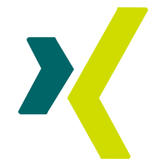 xing icon3